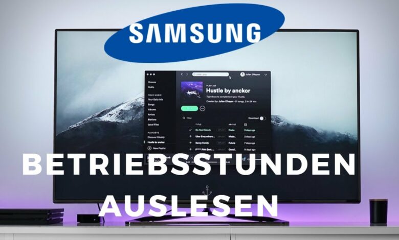 Samsung TV Betriebsstunden auslesen Samsung TV Betriebsstunden auslesen