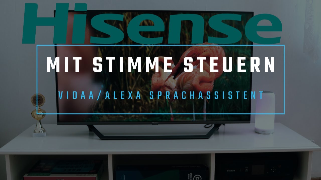 HISENSE TV mit Stimme steuern HISENSE TV mit Stimme steuern