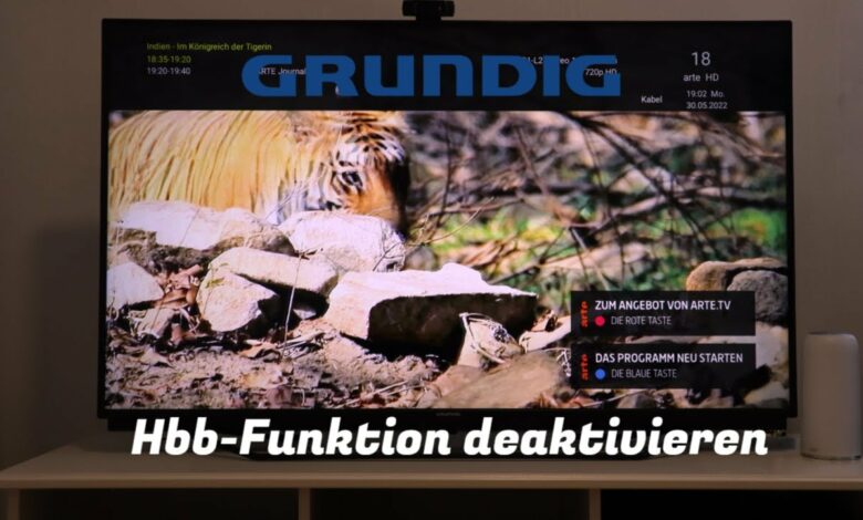 Hbb Funktion deaktivieren Grundig Android TV Hbb Funktion deaktivieren Grundig Android TV