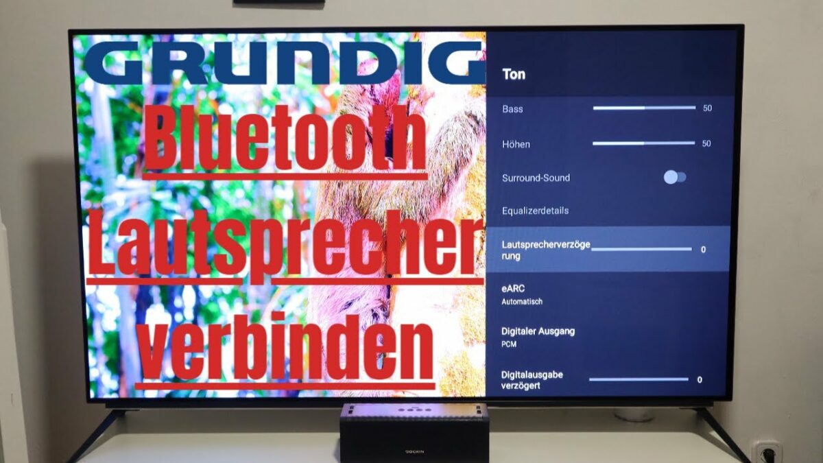 Grundig Lcd Fernseher Von Radio Auf Tv Umstellen Bluetooth-Lautsprecher mit Grundig OLED TV verbinden