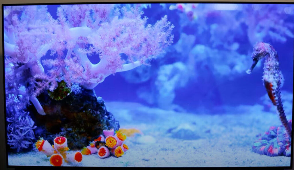 Android TV zweites Google Konto