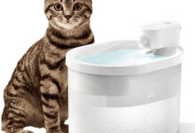 uahpet automatische Katzenbrunnen